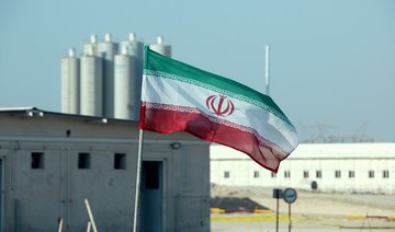 Magnitude 5 quake strikes near Iran nuclear plant, no damage