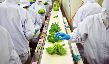 Grown from necessity: Vertical farming takes off in aging Japan