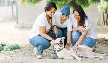 Saudi dog lovers take lead in rehoming city’s strays