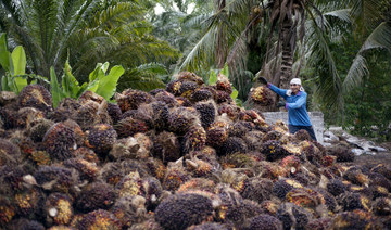 Malaysia looks to Pakistan after Indian palm oil controls