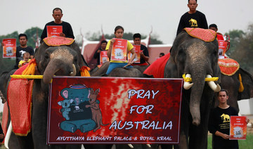 Thai elephants march in silence for Australian bushfires