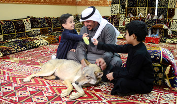 Who’s afraid of the big bad wolf? Not Rami, the Saudi who has seven as pets