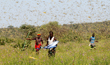 Huge locust outbreak in East Africa reaches South Sudan