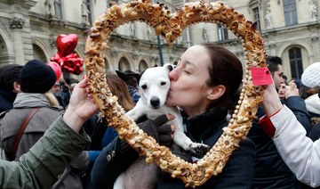 What makes dogs so special? Science says love