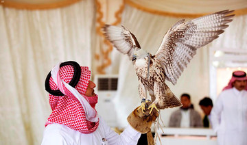 Saudi falconry festival takes off  in Hafr Al-Batin