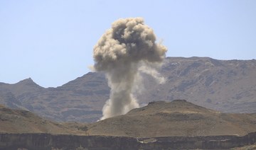 Arab coalition’s Yemen ceasefire receives wide support