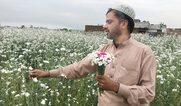 Amid lockdowns, Peshawar’s flowering hamlets are wastelands of dying blooms