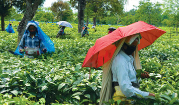 Coronavirus brews trouble for tea, disrupts supply as demand spikes
