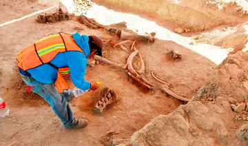 In Mexico City, experts find bones of dozens of mammoths