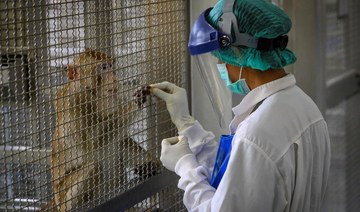 Thailand enters global race for vaccine with trials on monkeys