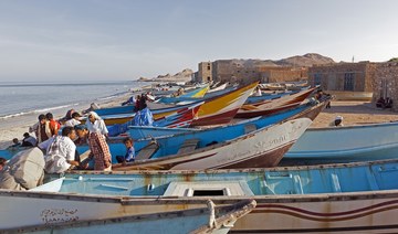 Iranian fishing fleet accused of illegally plundering Yemeni waters