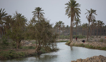 Minister: Iraq to face severe water shortages as river flows drop