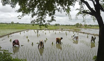 Heavy monsoon rains speed up crop planting in India