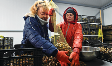 Ukraine’s snail farmers fear collapse over EU lockdowns