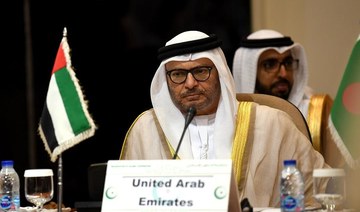 UAE official tells Turkey to stop meddling in Arab affairs over Libya