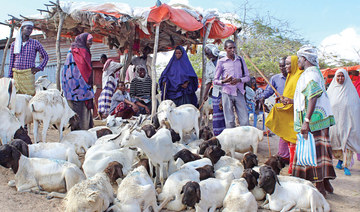 Restricted Hajj hits Somalia’s struggling livestock economy