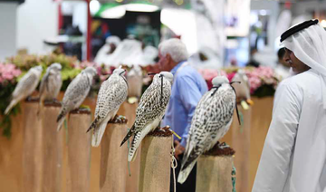 Abu Dhabi’s hunting exhibition goes international