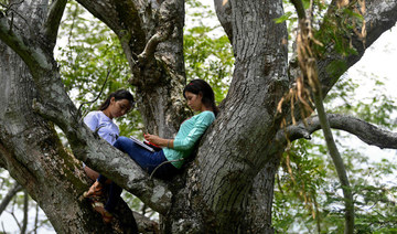 El Salvadoran sisters attending online classes up a tree