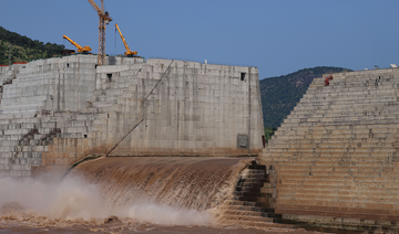 Egypt announces failure to reach draft on Renaissance Dam