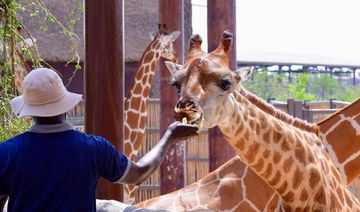 Dubai’s Safari Park reopens with new adventures after two-year closure
