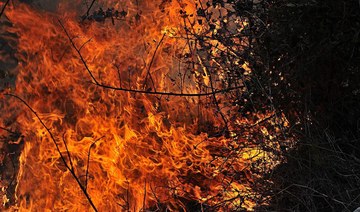 Three dead as forest fires burn in Syria, Lebanon