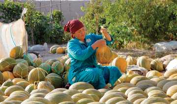 Bumper melon harvest sweetens Uzbekistan’s pandemic woes