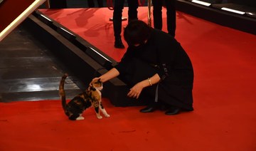 'Cat walk' draws smiles at Cairo Film Festival red carpet