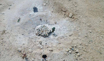 Saudi project clears 1,352 more mines in Yemen