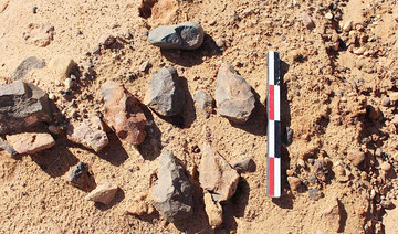 Saudi Arabia’s Qassim stone axe find points to prehistoric ‘crossroads’
