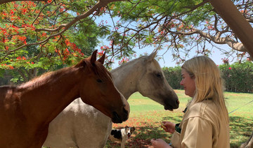 Egypt-based equestrians make it a mission to stamp out animal cruelty