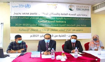 Workshop outlines plans for malaria support in Yemen