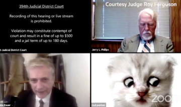 Presidio County lawyer Rod Ponton signed into the Zoom call for a civil forfeiture court hearing appearing a fluffy white kitten. (Screenshot)