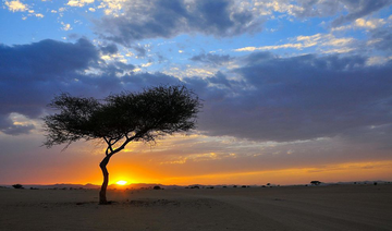 Saudi desert gateway fast becoming the next tourist hotspot