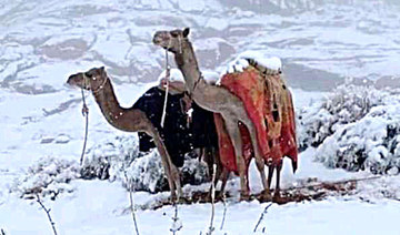 Snowfall brings sightseers to Saudi Arabia’s Tabuk