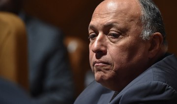 Egyptian FM: Arabs need to unite in face of challenges
