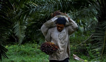 Facing public pressure, palm oil firms are going green — study