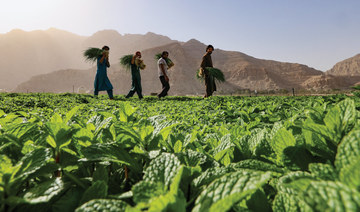 Middle East weighs agri-tech solutions as pandemic underscores urgency of food security