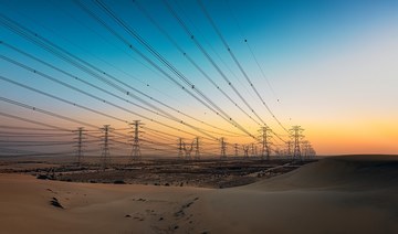 Saudi Electricity profits surge as more people stay at home