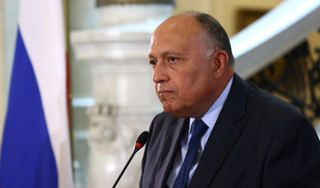 Egypt continues to push for political solution in Libya