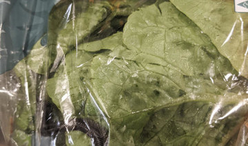 Sydney man finds snake in lettuce bought at supermarket