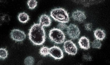 Coronavirus likely to keep mutating: Scientists