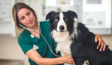 Mubadala invests in European veterinary giant in nearly $500m deal