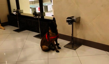 A nose for COVID-19: Ace dog teams sniff out virus in travelers at Pakistani airports