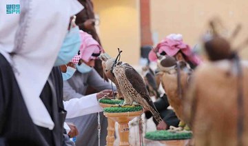 Saudi Arabia to host auction for falcon breeders