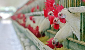 Saudi Arabia bans poultry imports from 3 French provinces