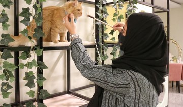 Paws for thought: Inside Riyadh’s first cat café