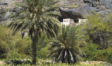 ThePlace: Asir’s Al-Majarda village is home to a wide range of wildlife and rare plants