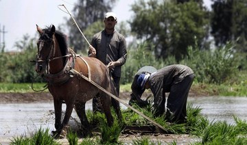 Egypt launches $38bn initiative to improve rural living