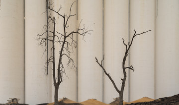 THE BREAKDOWN- Lebanese photographer Dia Mrad discusses ‘Trees of Apocalypse’