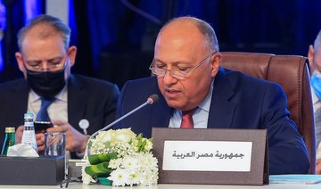 Egypt will defend its citizens with ‘all means available’ if their livelihoods are threatened by GERD: Sameh Shoukry